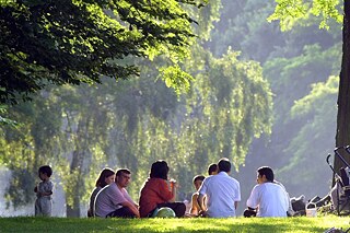 Familie sitzt zusammen im Park, Aufnahme von hinten aus der Distanz