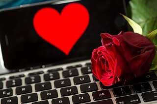 Eine rote Rose ist auf einem Laptop platziert