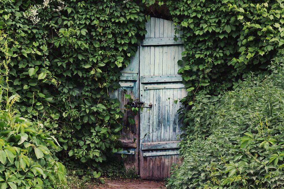 Märchenhafte hellblau gestrichene Tür, von Efeu bewachsen