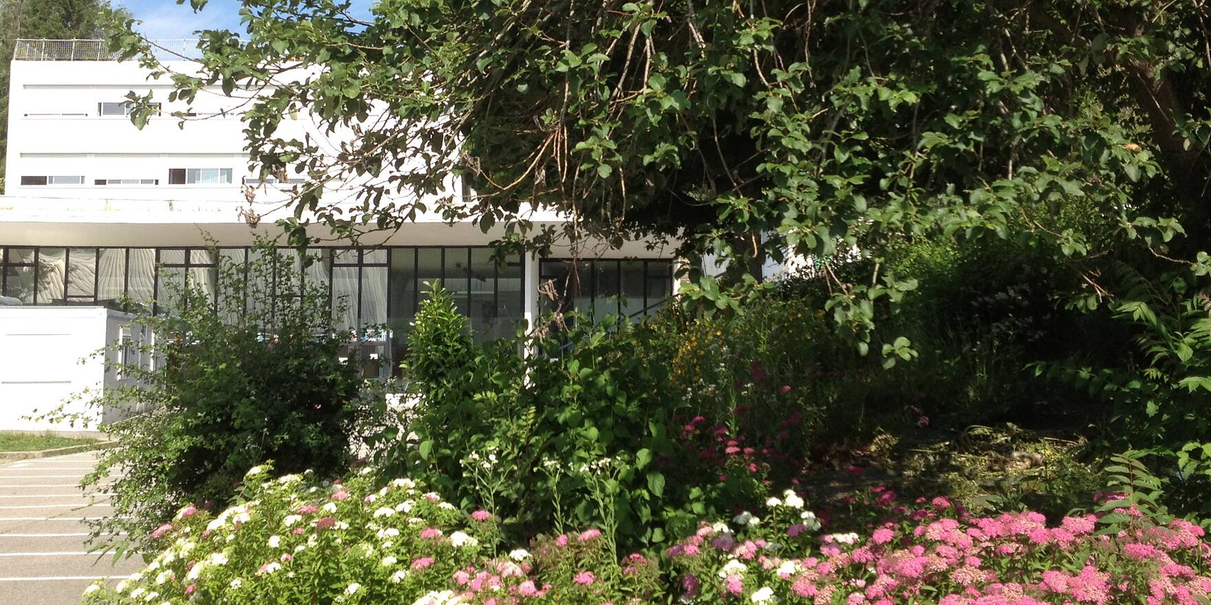 Lycée International FerneyVoltaire PASCHInitiative Lycée International FerneyVoltaire PASCHInitiative