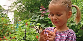 Kleines Mädchen hält einen Schmetterling