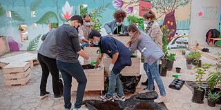 Schülerinnen und Schüler bei einem Schulprojekt mit Pflanzen