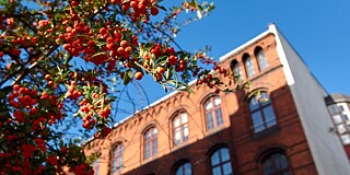 Gebäude des Liceum Ogólnokształcące Nr. 13, Wrocław