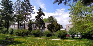 Schule mit Bäumen