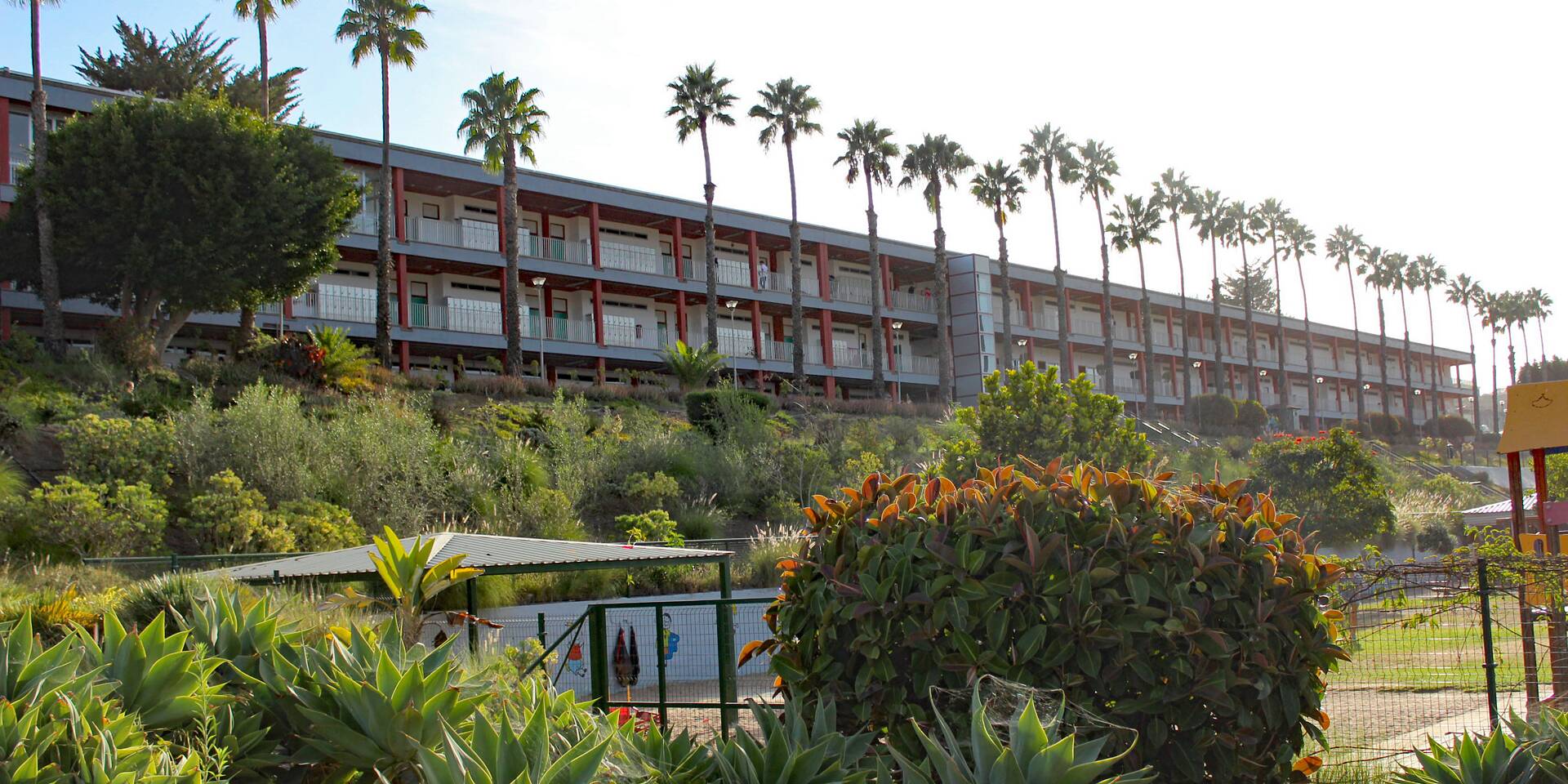 Deutsche Schule Las Palmas de Gran Canaria PASCHInitiative