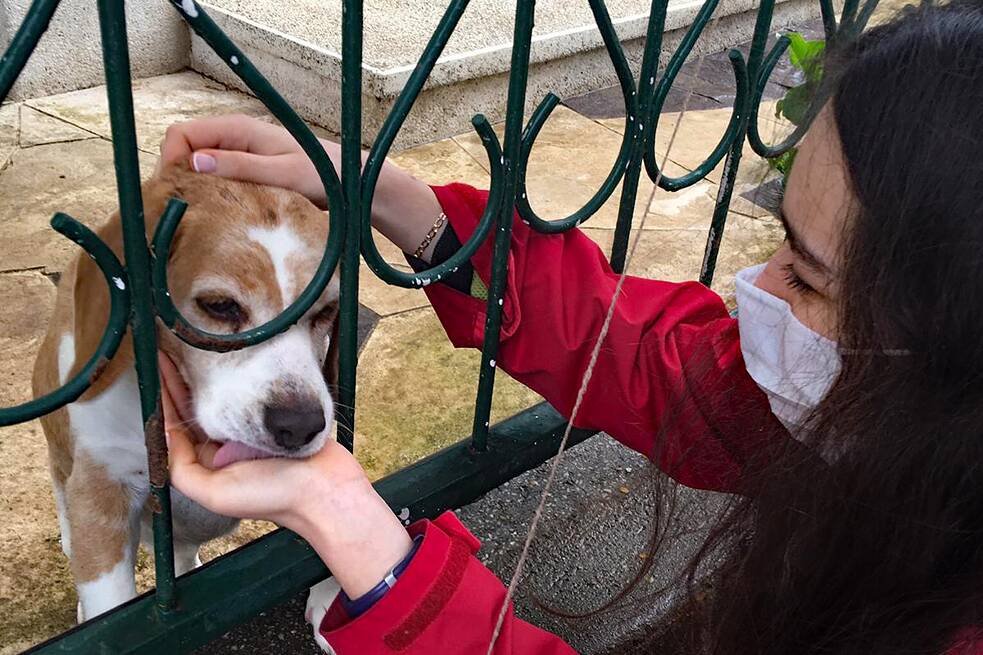 Jugendliche mit medizinischer Maske streichelt einen kleinen Hund durch einen Zaun.