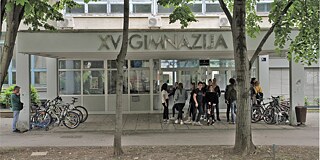 Graues Schulgebäude frontal fotografiert, mit Bäumen im Vordergrund