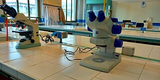 Chemielabor mit Mikroskop im Liceo Scientifico Statale Galileo Ferraris