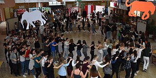 Festival mit Tanz am Baksa Kálmán Gimnázium