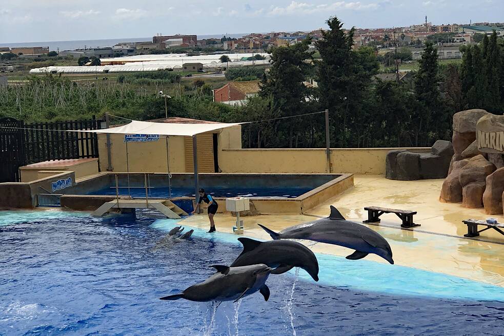 Barcelona: Marineland Catalunya