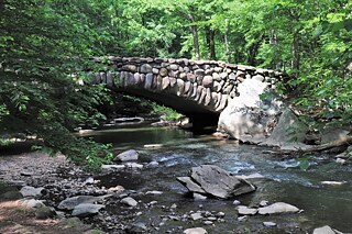 Steinerne Brücke über einen flachen Fluss, umgeben von vielen grünen Sträuchern.