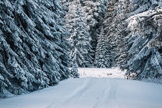 Der Winter in den Bergen