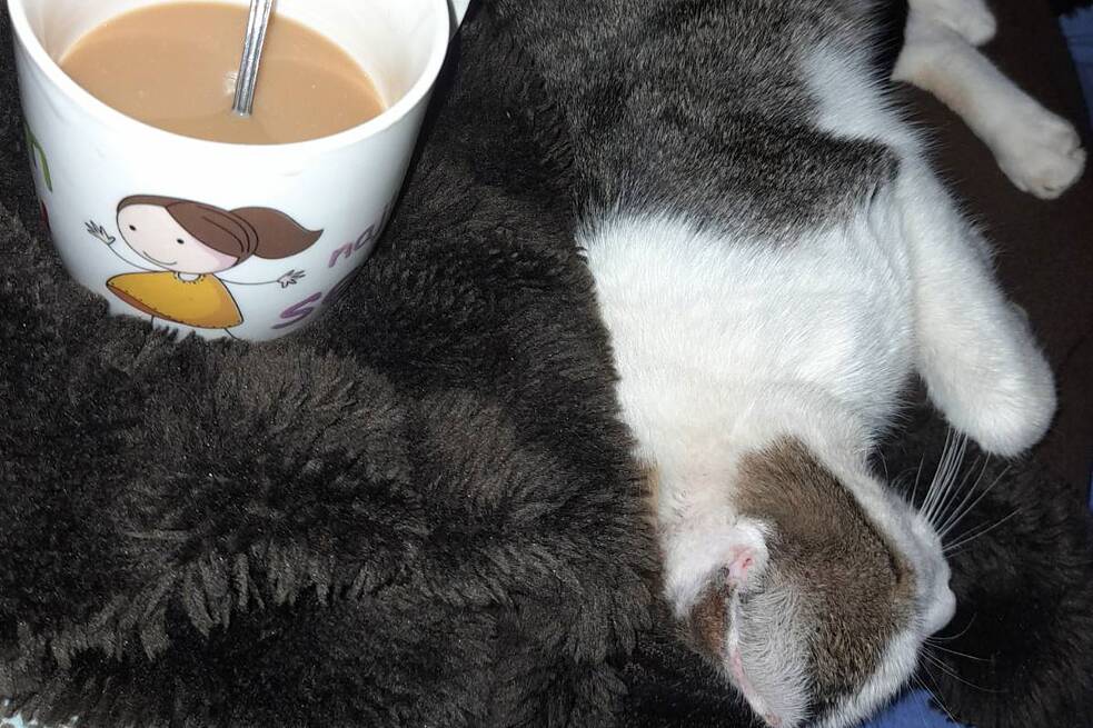 Kaffee mit Milena