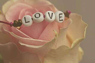 Nur die Liebe zählt