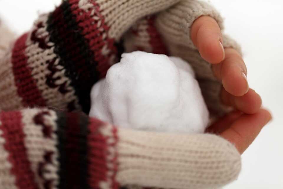 Schneeball