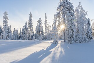 Mosaikartikel: Wie kann man die Winterferien gut zu Hause verbringen?