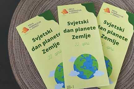 Pflanzen