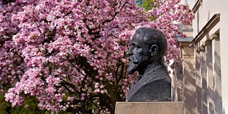 Büste des polnischen Literaturnobelpreisträgers Henryk Sienkiewicz vor dem Gebäude des I Liceum Ogólnokształcące Kędzierzyn Koźle