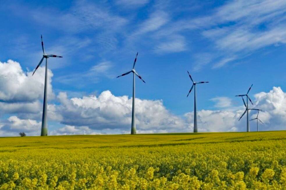 Im Vordergrund liegt ein gelbes Rapsfelt in voller Blüte, im Hintergrund stehen vier Windräder.