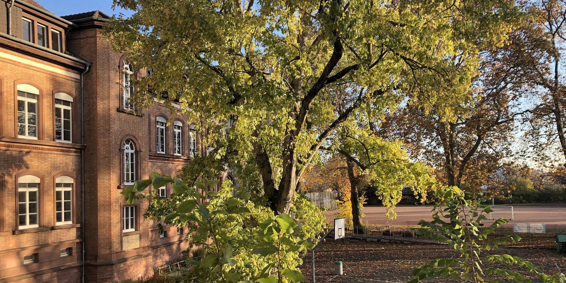 Feudenheim Gymnasium PASCH Initiative