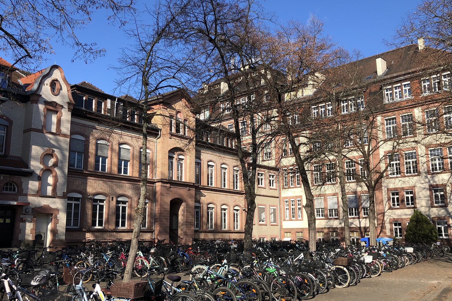 Feudenheim Gymnasium PASCH Initiative