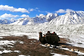 Ein Kamel ruht vor einem schneebedeckten Gebirge und schaut in die Kamera