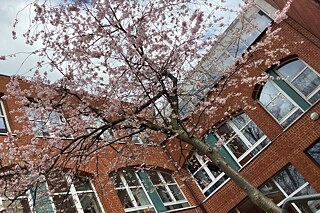 Gebäude der Bismarckschule