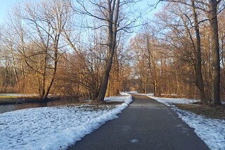 Weg im englischen Garten