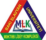 Logo der BSU Schule
