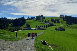 Jugendliche beim Wandern in den Schweizer Alpen