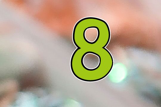 Türchen 8 - PASCH-Initiative