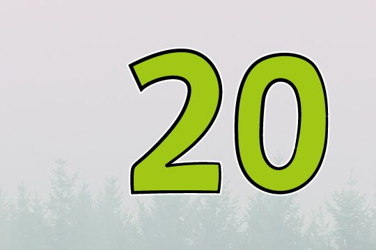 Türchen 20 - PASCH-Initiative