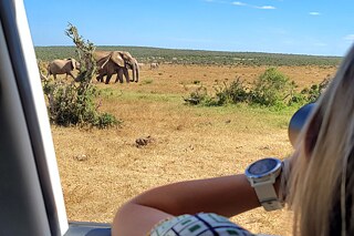 Im Addo Elephant Park