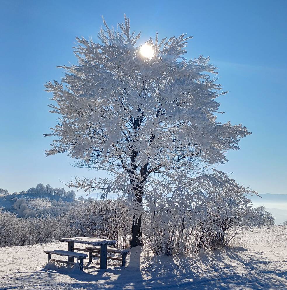 Verschneite Landschaft in der Sonne