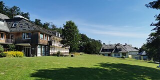 Eine Häusergruppe, davor ein Park und alte, große Bäume.