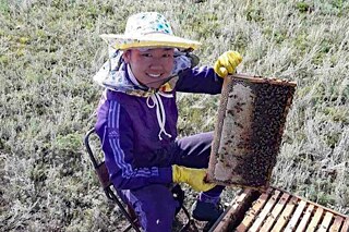Eine Imkerin sitzt vor einem Bienenstock und arbeitet.