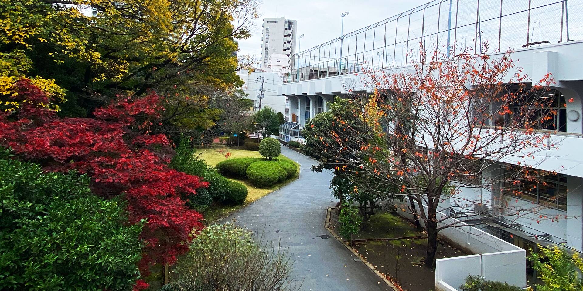 Keio Girls Senior High School PASCH Initiative keio-girls-senior-high-school-pasch-initiative