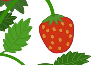 Grafik einer Erdbeere am Strauch