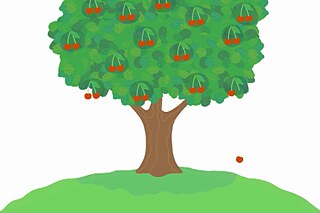 Grafik, eine Kirsche fällt von einem Baum auf die Wiese.