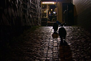 Zwei Waschbären bei Nacht auf einer mit Kopfsteinen gepflasterte Straße.