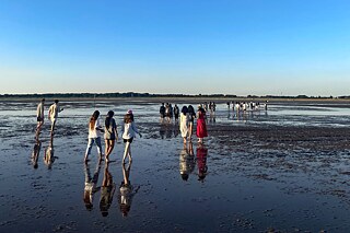 Jugendliche im Wattenmeer