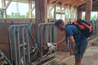 Junger Mann streichelt ein Kalb in einem Stall