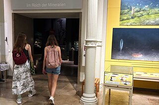 Raum im Naturkundemuseum in Karlsruhe