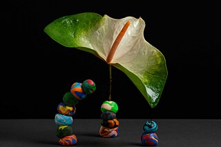 Fimo Figuren und eine Blüte vor schwarzem Hintergrund