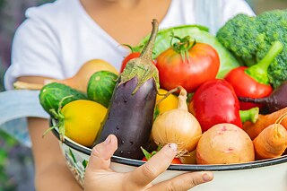 Frisches Obst und Gemüse