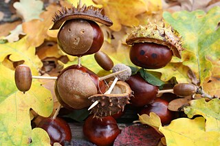 Kastanienmännchen auf buntem Herbstlaub