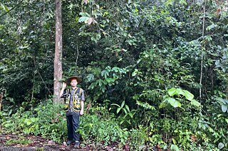 Indonesia im Regenwald