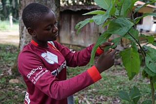 Italen Gervaise Rachelle in Akono