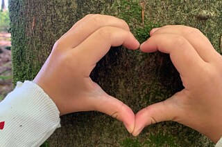 Zwei Kinderhände formen ein Herz auf einem Baumstamm.