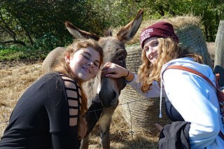 Jugendliche streicheln einen Esel.